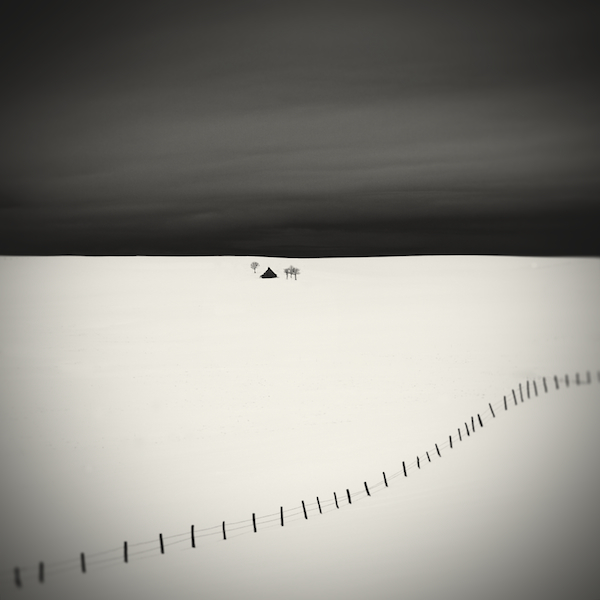 Zasněžená krajina na minimalistické černobílé fotoografii - Lionel Orriols