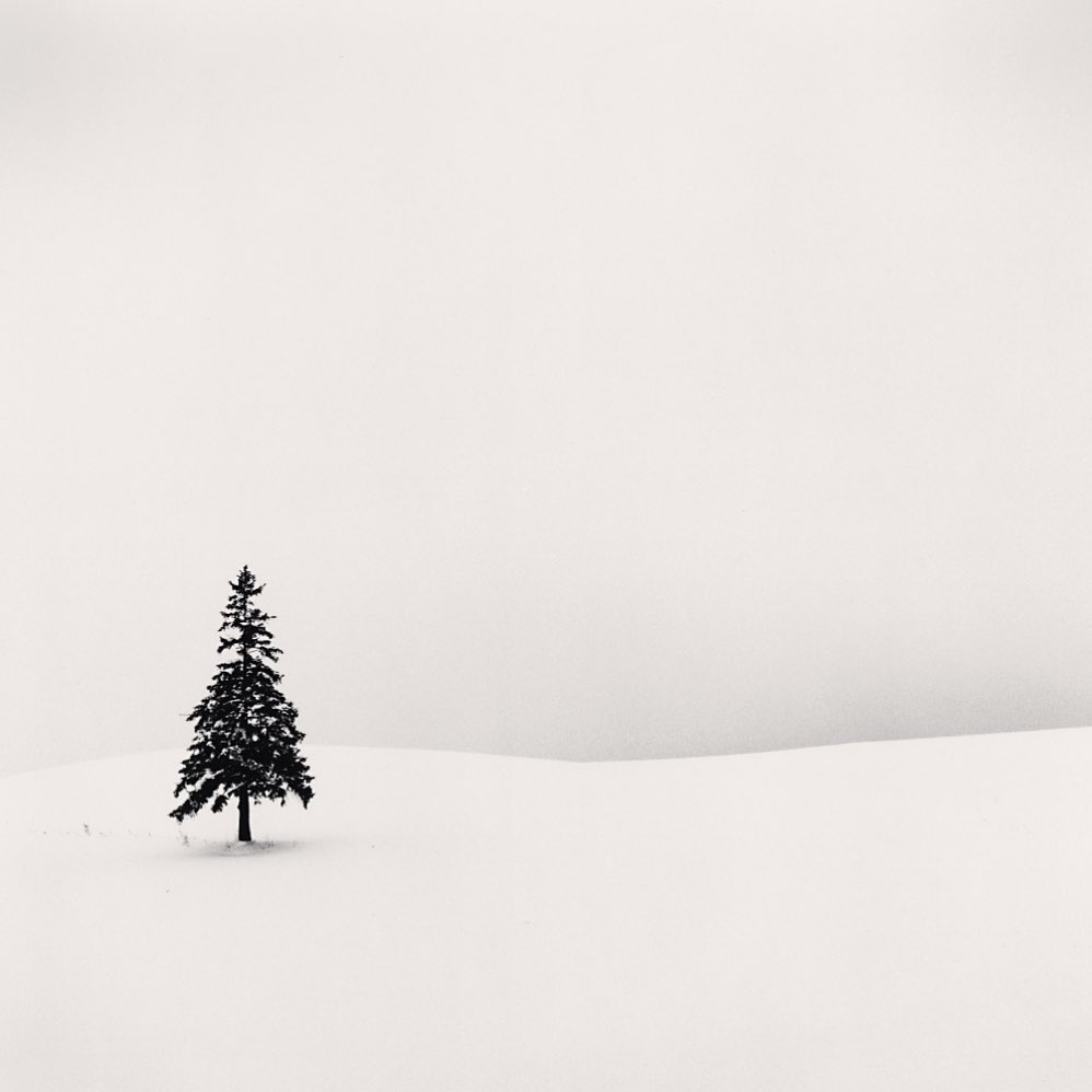 Osamocený strom (Lone Tree), Hokkaido, Japan. 2004, Minimalistická černobílá fotografie od Michaela Kenny