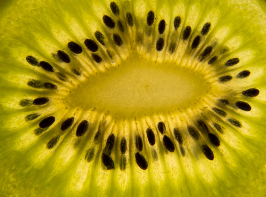 Detailní snímek plátku kiwi
