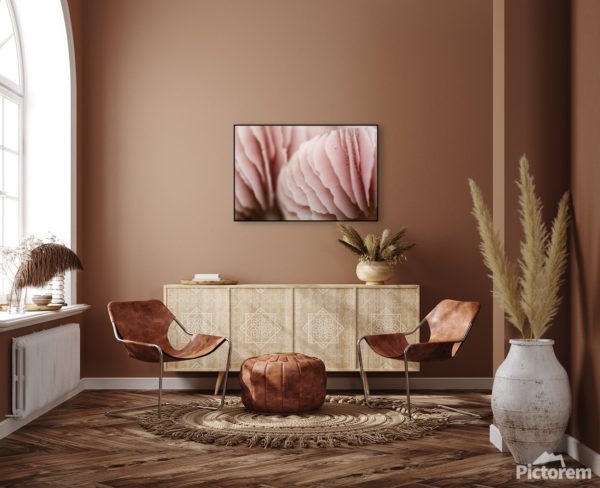 Vizualizace fotoobrazu v interiéru - Růžové Houby ve velikosti 90x60cm