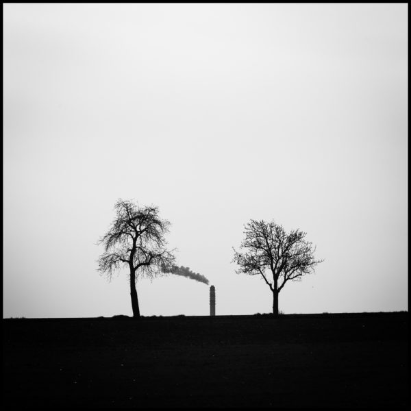 Dva stromy a komín - Environmentální fotografie na zeď