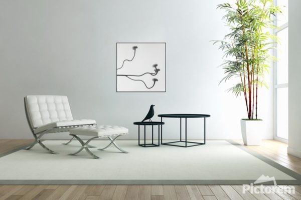 Vizualizace minimalistického čtvercového fotoobrazu "Geometrie přírody" v interiéru, velikost 60x60