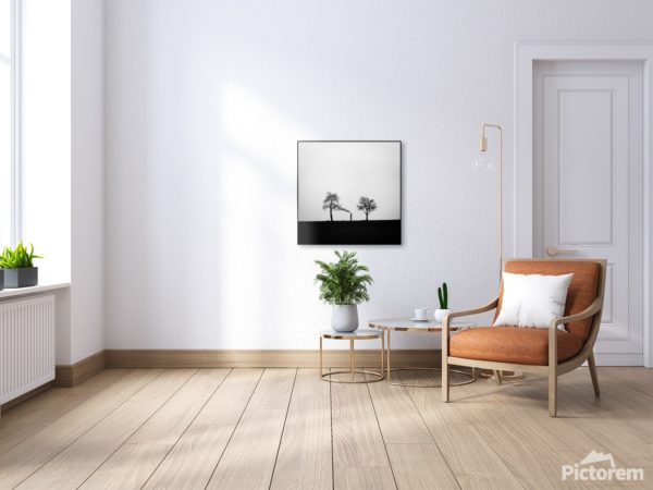 Vizualizace environmentálního fotoobrazu "Dva stromy a komín" na stěně, velikost 60cm x 60cm